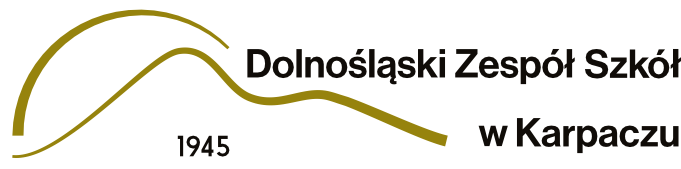 logo dzs